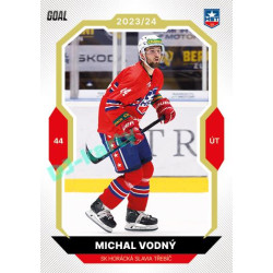 2023/24 Goal cards Chance Liga 2. série #243 Michal Vodný Gold 1of20