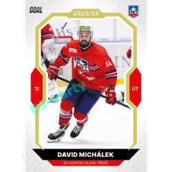 2023/24 Goal cards Chance Liga 2. série #244 David Michálek Gold 1of20