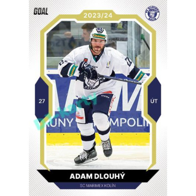 2023/24 Goal cards Chance Liga 2. série #352 Adam Dlouhý Gold 1of20