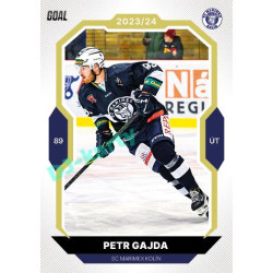 2023/24 Goal cards Chance Liga 2. série #355 Petr Gajda Gold 1of20