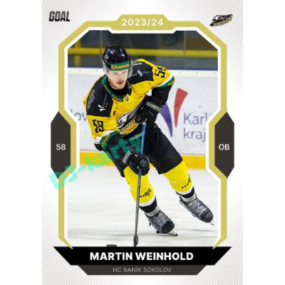 2023/24 Goal cards Chance Liga 2. série #360 Martin Weinhold Gold 1of20