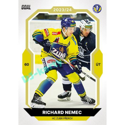 2023/24 Goal cards Chance Liga 2. série #308 Richard Němec Gold 1of20