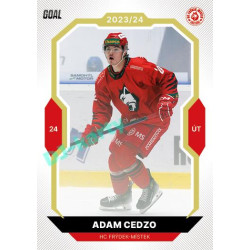 2023/24 Goal cards Chance Liga 2. série #323 Adam Cedzo Gold 1of20