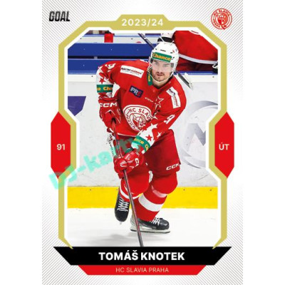 2023/24 Goal cards Chance Liga 2. série #339 Tomáš Knotek Gold 1of20