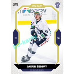 2023/24 Goal cards Chance Liga 2. série #347 Jakub Šedivý Gold 1of20