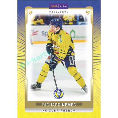 2024/25 Goal Cards Maxa liga 1. série #PRE-18 Richard Nemec