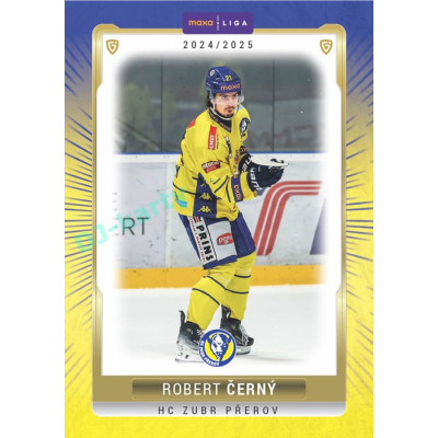 2024/25 Goal Cards Maxa liga 1. série #PRE-05 Robert Černý