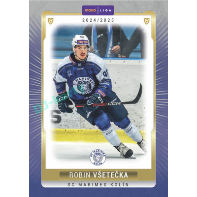 2024/25 Goal Cards Maxa liga 1. série #KOL-16 Robin Všetečka