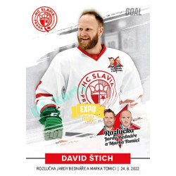 2022 Goal Cards Rozlučka Jardy Bednáře a Marka Tomici #15 David Štich Expo Gold 1of3