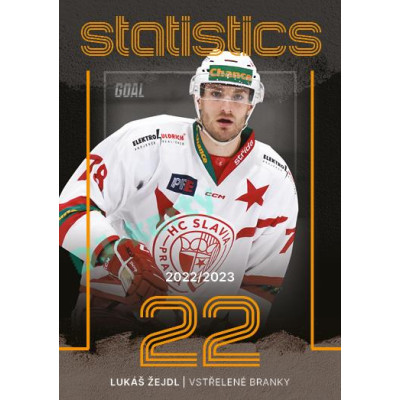 2023/24 Goal cards Chance Liga 1. série #ST-10 Lukáš Žejdl Statistics
