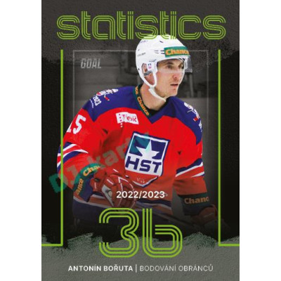 2023/24 Goal cards Chance Liga 1. série #ST-11 Antonín Bořuta Statistics