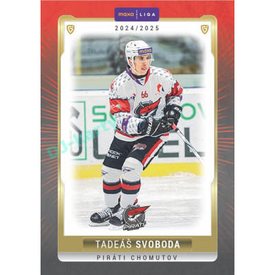 2024/25 Goal Cards Maxa liga 1. série #CHOM-16 Tadeáš Svoboda