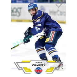 2023/24 Sportzoo ELH 1. série #234 Jakub Valský