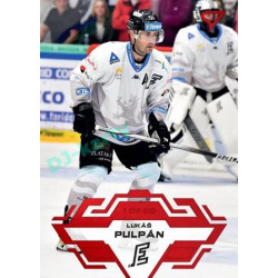 2023/24 Sportzoo ELH 1. série #151 Lukáš Pulpán Goal Light 1of60