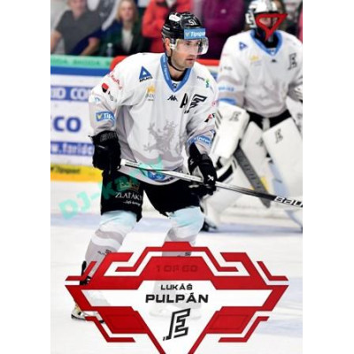 2023/24 Sportzoo ELH 1. série #151 Lukáš Pulpán Goal Light 1of60