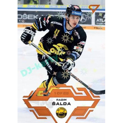 2023/24 Sportzoo ELH 1. série #186 Radim Šalda Blade Sparks 1of25
