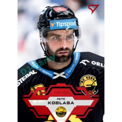 2023/24 Sportzoo ELH 1. série #195 Petr Koblasa Goal Light 1of60