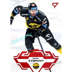 2023/24 Sportzoo ELH 1. série #198 Pawel Zygmunt Goal Light 1of60