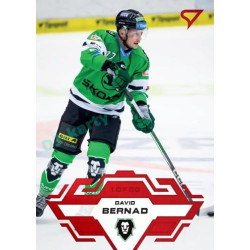 2023/24 Sportzoo ELH 1. série #165 David Bernad Goal Light 1of60