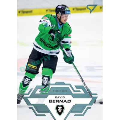 2023/24 Sportzoo ELH 1. série #165 David Bernad Ice Reflection 1of95
