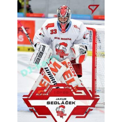 2023/24 Sportzoo ELH 1. série #128 Jakub Sedláček Goal Light 1of60
