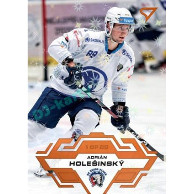 2023/24 Sportzoo ELH 1. série #207 Adrián Holešinský Blade Sparks 1of25