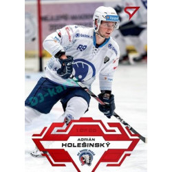 2023/24 Sportzoo ELH 1. série #207 Adrián Holešinský Goal Light 1of60