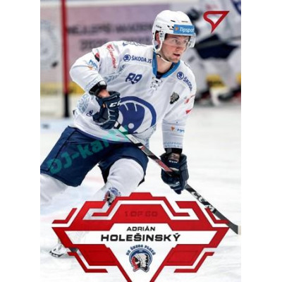 2023/24 Sportzoo ELH 1. série #207 Adrián Holešinský Goal Light 1of60