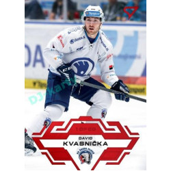 2023/24 Sportzoo ELH 1. série #203 David Kvasnička Goal Light 1of60