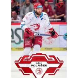 2023/24 Sportzoo ELH 1. série #006 Adam Polášek Goal Light 1of60