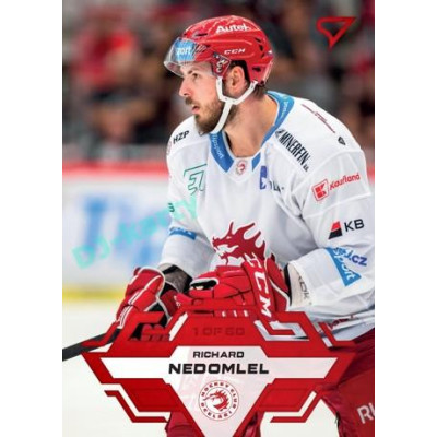 2023/24 Sportzoo ELH 1. série #005 Richard Nedomlel Goal Light 1of60