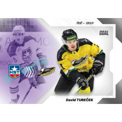 2023/24 Goal cards Chance Liga 1. série #LT-21 David Tureček League Tranfers