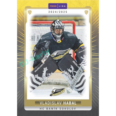 2024/25 Goal Cards Maxa liga 1. série #SOK-01 Vladislav Habal