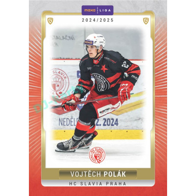 2024/25 Goal Cards Maxa liga 1. série #SLA-19 Vojtěch Polák