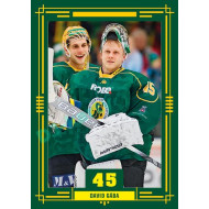 2024 Chance Liga Fenomén Vsetín Forever #57 David Gába