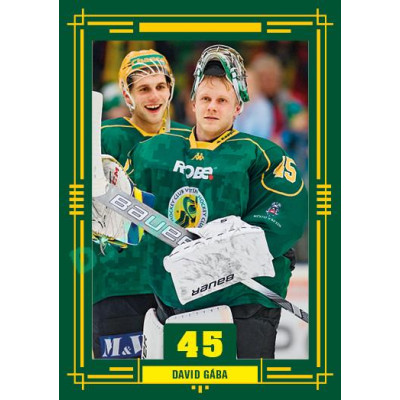 2024 Chance Liga Fenomén Vsetín Forever #57 David Gába