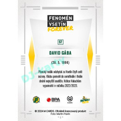 2024 Chance Liga Fenomén Vsetín Forever #57 David Gába
