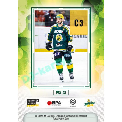 2024 Chance Liga Fenomén Vsetín Forever #PZ3-C3 Erik Hrňa Puzzle