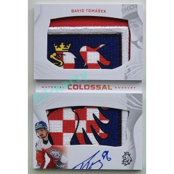2024 Sportzoo Hokejové ČESKO #CM-DT David Tomášek Colossal Material Booklet 3/9