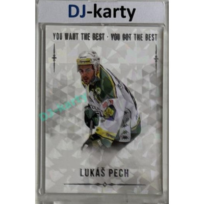 2018 You Want the Best Lukáš Pech #63 15/22 Silver